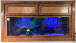 Fish Tank | Alexander's Automotive